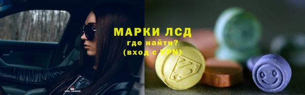 стаф Аркадак