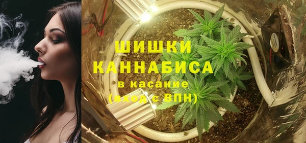 трава Арсеньев