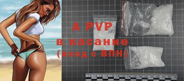 стаф Аркадак
