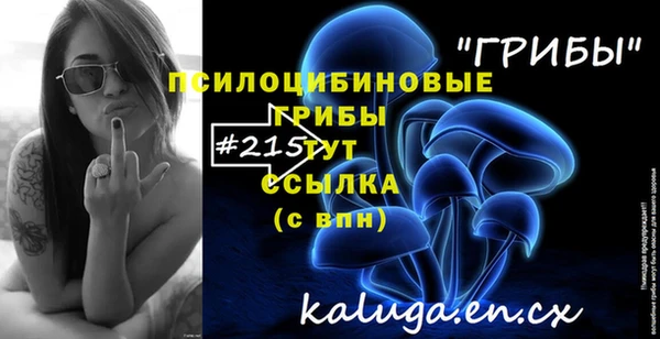 молекула духа Армянск