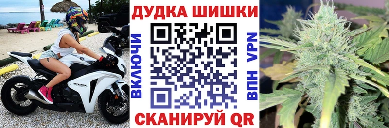 как найти закладки Волхов MEGA зеркало Конопля тримм